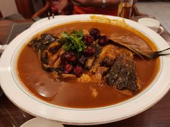 -鲁宴·鲁煨黄河生态大鲤鱼(月坛店)