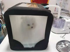 -瑞派·关忠动物医院·异宠专科·犬猫肿瘤·皮肤专科(望京店)