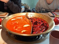 番茄鸳鸯-小龙坎火锅(春熙太古里店)