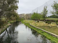 -两河城市森林公园