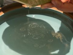 -椰小名·竹笙椰子鸡(中堂店)