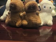 -浅深Cheersum(曹杨店)