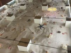 -青岛贝壳博物馆