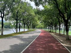 -艾溪湖湿地公园
