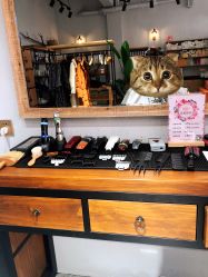 -摩力美发·烫·染·设计专业店