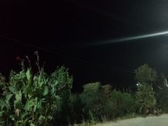 -麦当劳(轻轨曹杨路店)