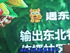 -遇东北林区铁锅炖(南开店)