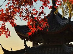 -西湖外事游船(花港观鱼码头)