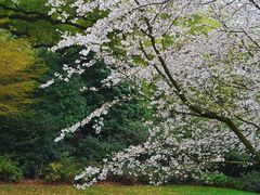 -中国茶叶博物馆(双峰馆区)