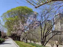 -元大都城垣遗址公园