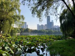-后襄河公园