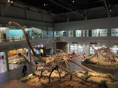 -自贡恐龙博物馆