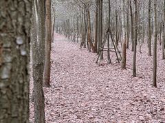 -露天矿生态公园