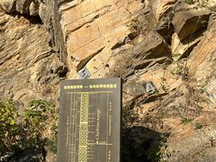 -金钉子远古世界景区