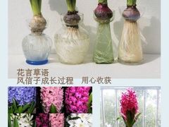 -花言草语鲜花店(灵山路店)