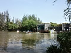 -上海滨江森林公园