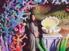 -青岛嘉年华主题乐园