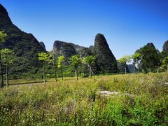 -钟山水墨田园
