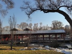 -西宁市人民公园(城西区)