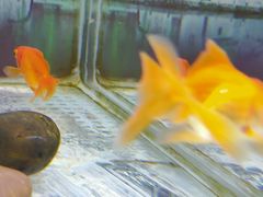 -秦皇岛新澳海底世界