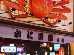 -蟹道乐(道顿堀本店)