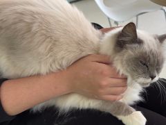 -怪兽屋·羊驼·猫咖·狗咖(俊华广场店)