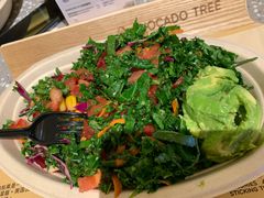 -油梨树AVOCADO TREE(嘉里中心店)