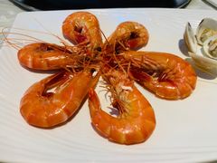 -越百海海鲜蒸锅(乐山店)