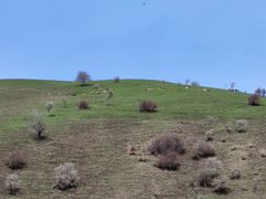 -新疆那拉提国家旅游度假区