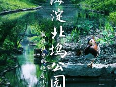 -北坞公园