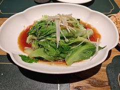 -老阿妈蒙古村·蒙古包·草原文化·歌舞表演(老君堂店)