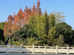 -福州大学(旗山校区)