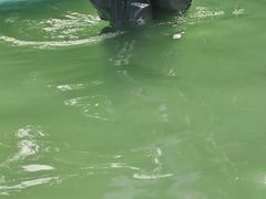 -汪说喵讲宠物乐园宠物酒店(红星美凯龙店)