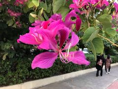 -北海市海滨公园