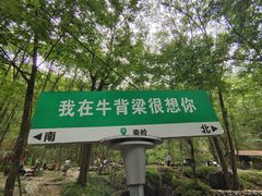 -牛背梁国家森林公园