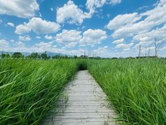 -野鸭湖国家湿地公园