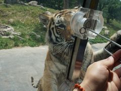 -西安秦岭野生动物园