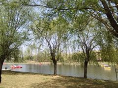 -羊亭河湿地公园