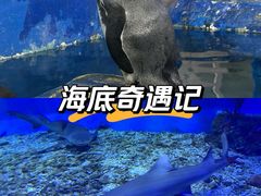 -太平洋海底世界