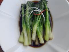 -茶人村·前滩江景雅宴(上海首店)