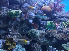 -常州海昌海洋探索馆