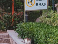 -观象山公园