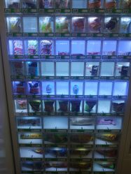 -北京亚运村美中宜和妇儿医院