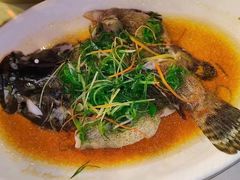 -大班家政月嫂育儿嫂(深圳NO.1店)