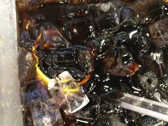 -罗汉果龙眼冰糖燉冬瓜