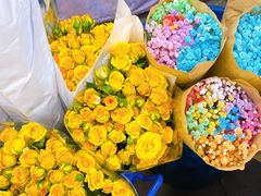 -双季花艺园艺市场(浦东店)