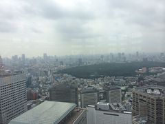 -东京都厅舍