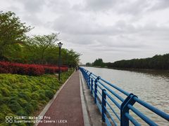 -高东镇樱花园