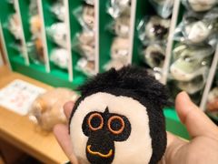 -猫的天空之城概念书店(苏州诚品店)