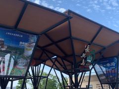 -上海长兴岛郊野公园